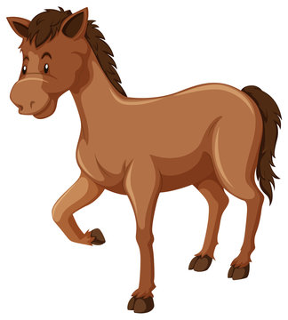 Horse with brown fur
