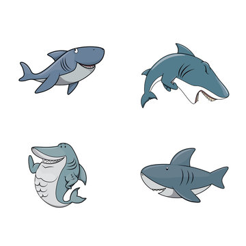 shark illustration design collection