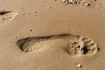 Spuren im Sand