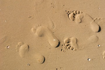 Spuren im Sand
