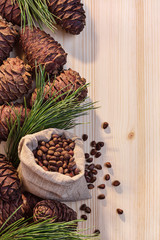 Cedar tree cones and seeds.