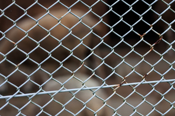 Fototapeta premium Rusty fence