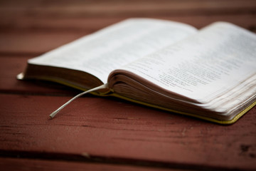 Mature African American Man