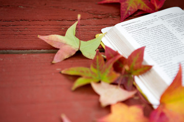 Bible With Fall Leaves