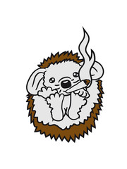 pothead weed joint smoking party dj headphones dance music cool sunglasses club disco ball waving baby sweet little cute hedgehog