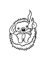 pothead weed joint smoking drug stoned stoned high weed cannabis hemp hedgehog sweet cute funny cool