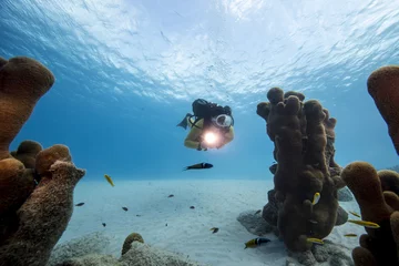 Fensteraufkleber Unterwasser - Riff - Taucher - Tauchsport - Koralle  - Tauchen - Curacao - Karibik © NaturePicsFilms