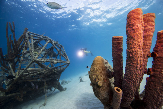 Unterwasser - Riff - Schwamm - Wrack -Flugzeugwrack - Taucher - Tauchen - Curacao - Karibik