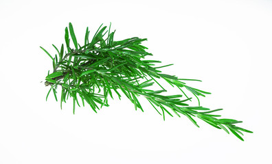 Sprig of rosemary