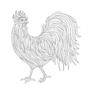 Hand drawn doodle outline rooster illustration. Decorative outline hand drawn in zentangle style. Sketch for adult antistress coloring page. symbol of the 2017 year