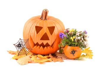 Autumn decoration with pumpkins and flowers. 