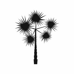Spiny tropical palm tree icon in simple style isolated on white background. Flora symbol