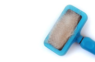 cat brush with beige fur on white background