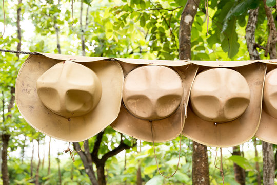  scout hat