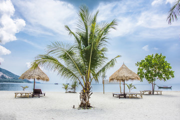 beach coconut