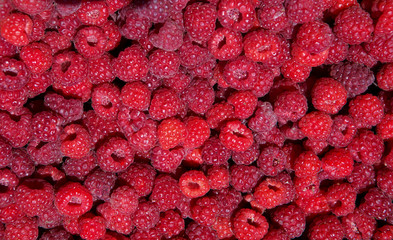 rasberry in summer