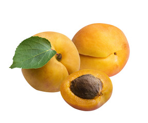 Fresh apricot with leaf , isolated