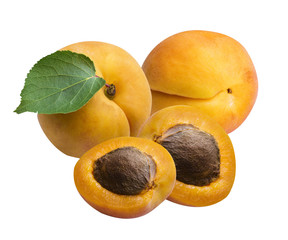 Fresh apricot with leaf , isolated