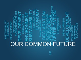 Our Common Future