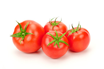 tomatoes In white background