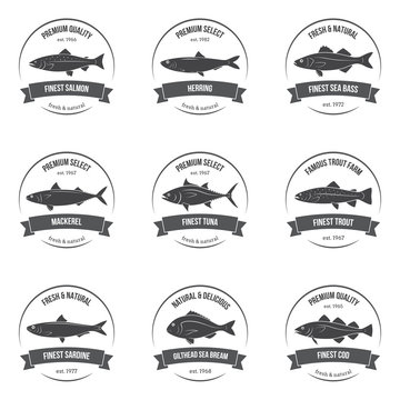 Vector fish silhouettes, labels, emblems. 