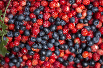 Strawberries and blueberries