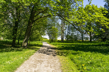Fototapeta na wymiar Frühling im Park