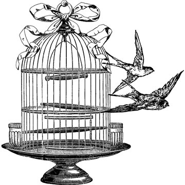 Vintage image swallow, birdcage