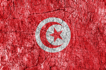 Grudge stone painted Tunisia flag
