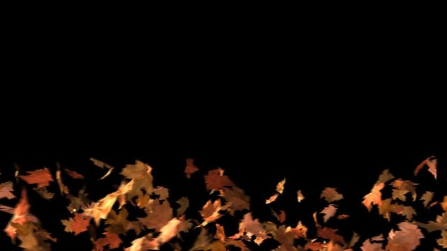 Animated background of blowing leaves. There is also a matte so that the leaves can be composited over your own footage.