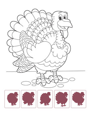 Cartoon turkey - coloring page with shadow matching - isolated - illustration for the children