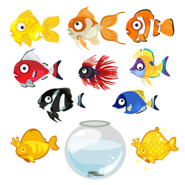 Set of colored tropical aquarium fish and bowl