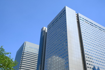 Obraz premium 青空と高層ビル