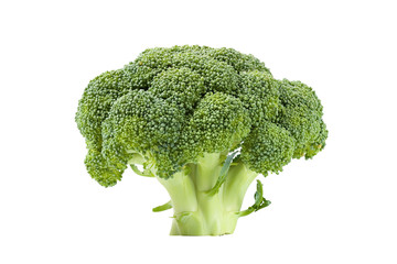 Fresh broccoli isolated side view