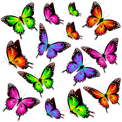 butterflies design