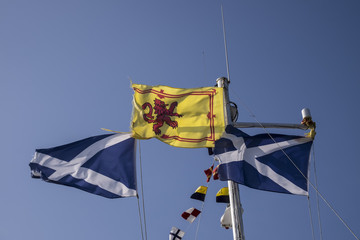 Scottish flags waving in the wind against clear blue summer sky