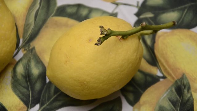 Chanh t&acirc;y Citrus limon