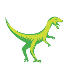 Velociraptor, predaceous dinosaur on white