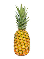 Ripe pineapple isolated on white background