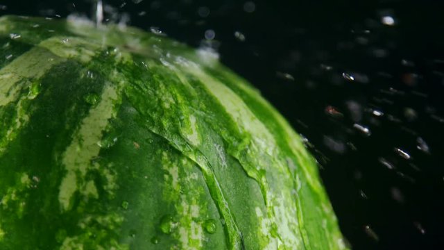 Pouring water with splashes over striped green watermelon on black background slow motion close-up