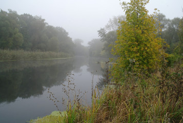 River landscape and autumn wood