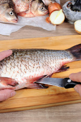 Fresh  crucian carp