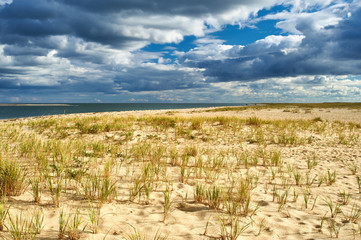 Sand dunes at Cape Cod