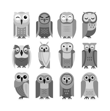 Cartoon owl vector Stock Vector | Adobe Stock