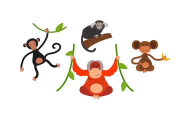 Fototapeta premium Cartoon monkey vector illustration. Monkey animal and jungle cartoon wild life. Monkey cute types cute primate isolated. Monkey zoo jumping chimpanzee mammal.