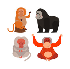 Cartoon monkey vector illustration. Monkey animal and jungle cartoon wild life. Monkey cute types cute primate isolated. Monkey zoo jumping chimpanzee mammal.