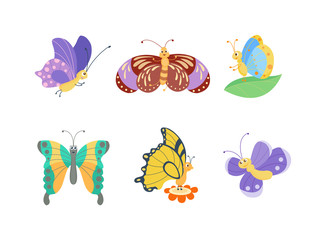 Cute butterfly vector isolated on white