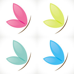 zen beauté papillon feuille beauty butterfly leaf