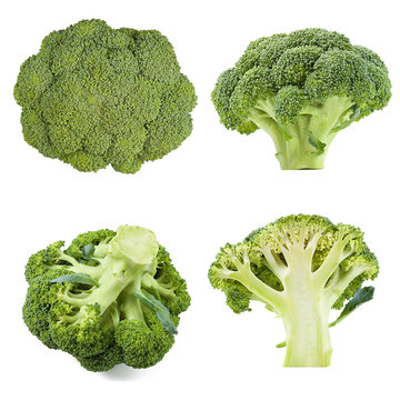 collection of broccoli isolated
