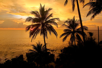 Obraz na płótnie Canvas silhouette of coconut palm trees and sunset on the beach 